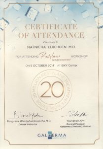 05-10-2014 ATTENDING restylance WORKSHOP 05-10-2014 ATTENDING restylance WORKSHOP