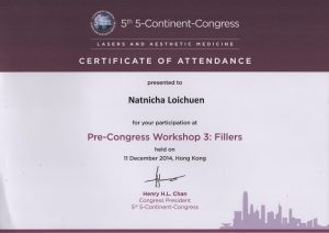 11-12-2014 Pre-Congress Workshop 3 Fillers 11-12-2014 Pre-Congress Workshop 3 Fillers